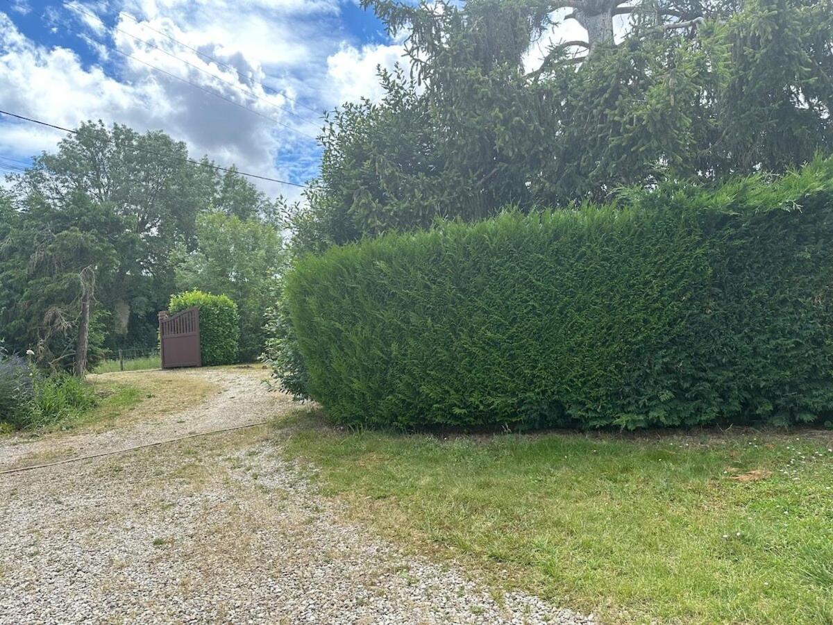 Maison Du Vignoble A 5 Minutes De Chablis Beine ภายนอก รูปภาพ